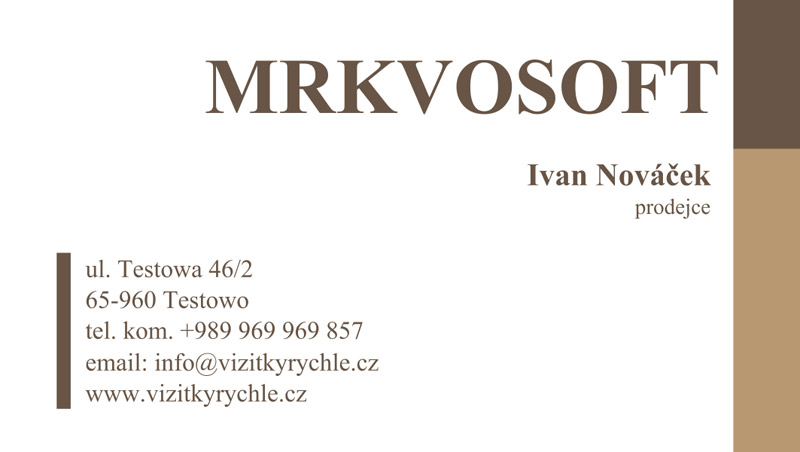 Vzor vizitky základní běžný design č.11